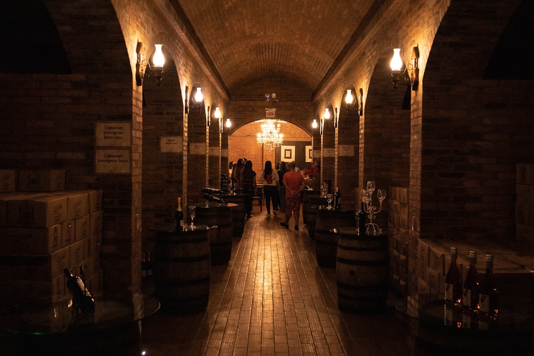 Optimal opbevaring af din vinsamling: Nytænkning af storage for wine collection